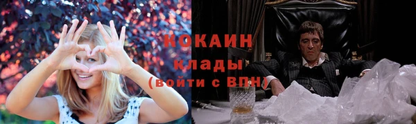 сатива Алзамай