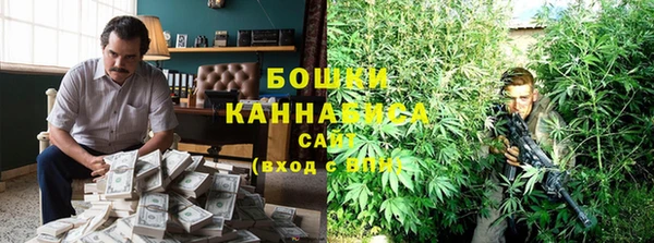 сатива Алзамай