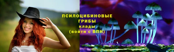сатива Алзамай