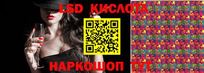 стаф Бердск