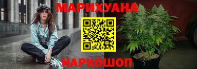 стаф Бердск