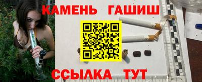 стаф Бердск