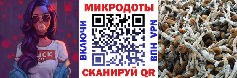 магазин продажи наркотиков Краснокамск Галлюциногенные грибы мицелий