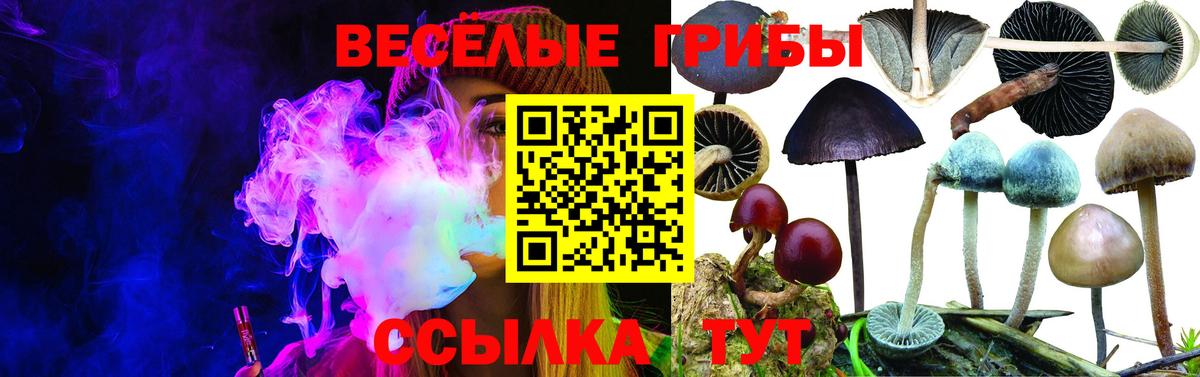 Галлюциногенные грибы Cubensis Краснокамск