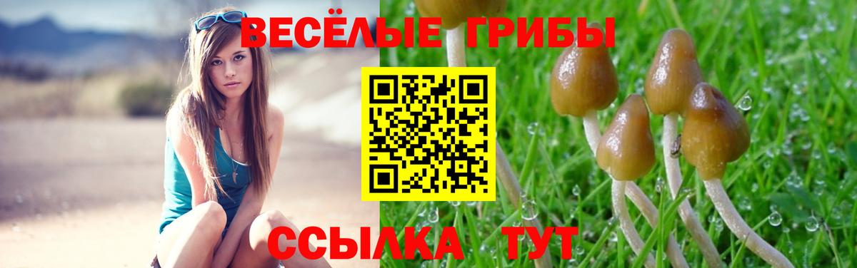 Псилоцибиновые грибы GOLDEN TEACHER  Псилоцибиновые грибы мицелий  Краснокамск  Вход с VPN 